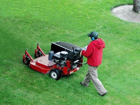 Lawn Service